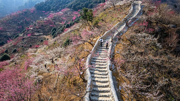 오늘밤 사진 4