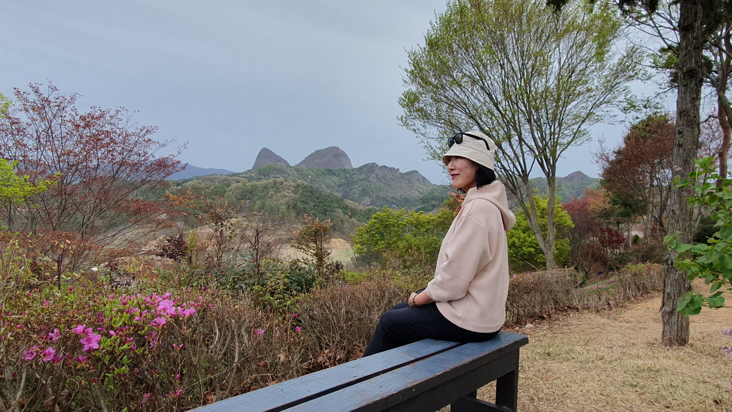 동산잔디 이미지