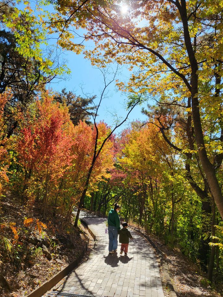 태전공원 이미지