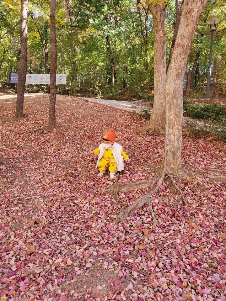 태전공원 이미지