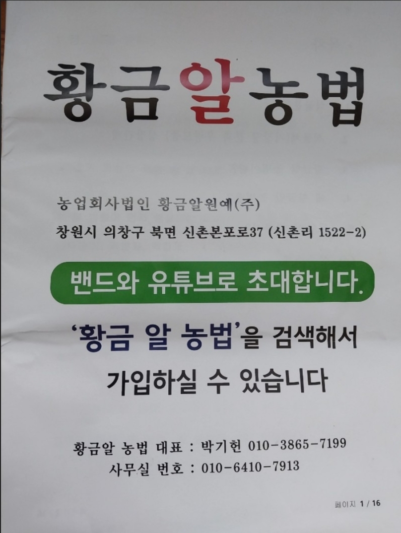 황금알 이미지