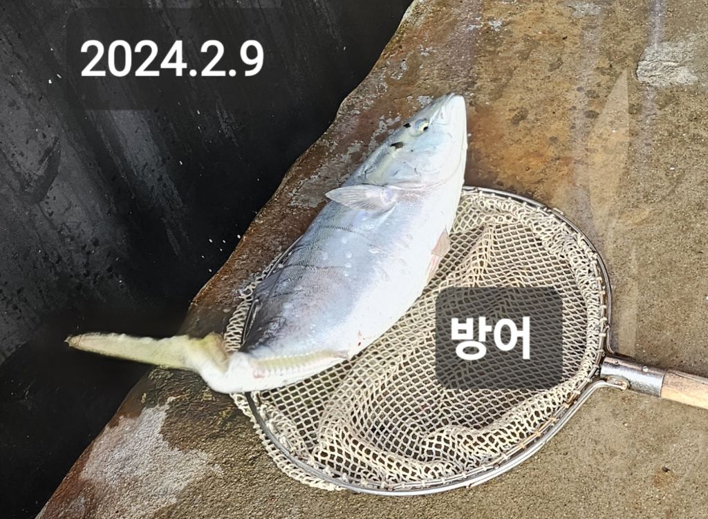 복수산 이미지