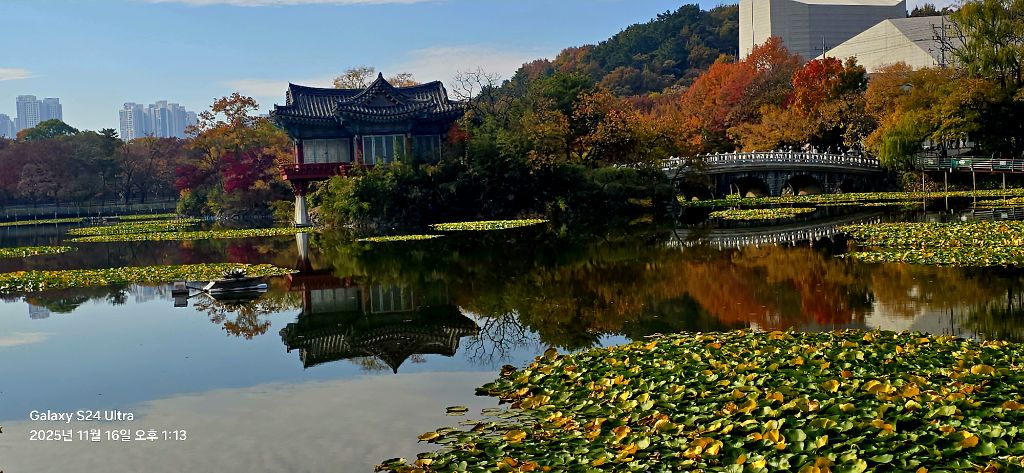 두류공원 이미지