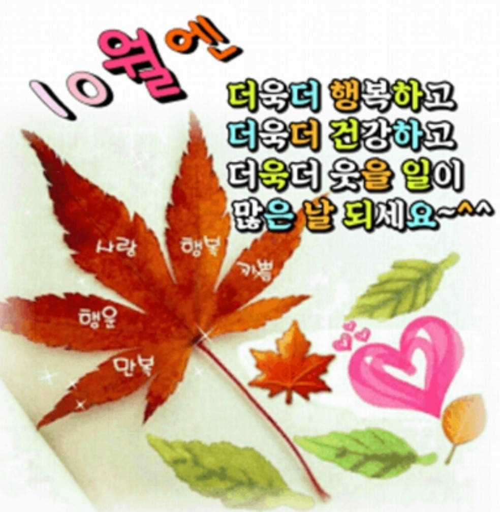 섬 대표 사진