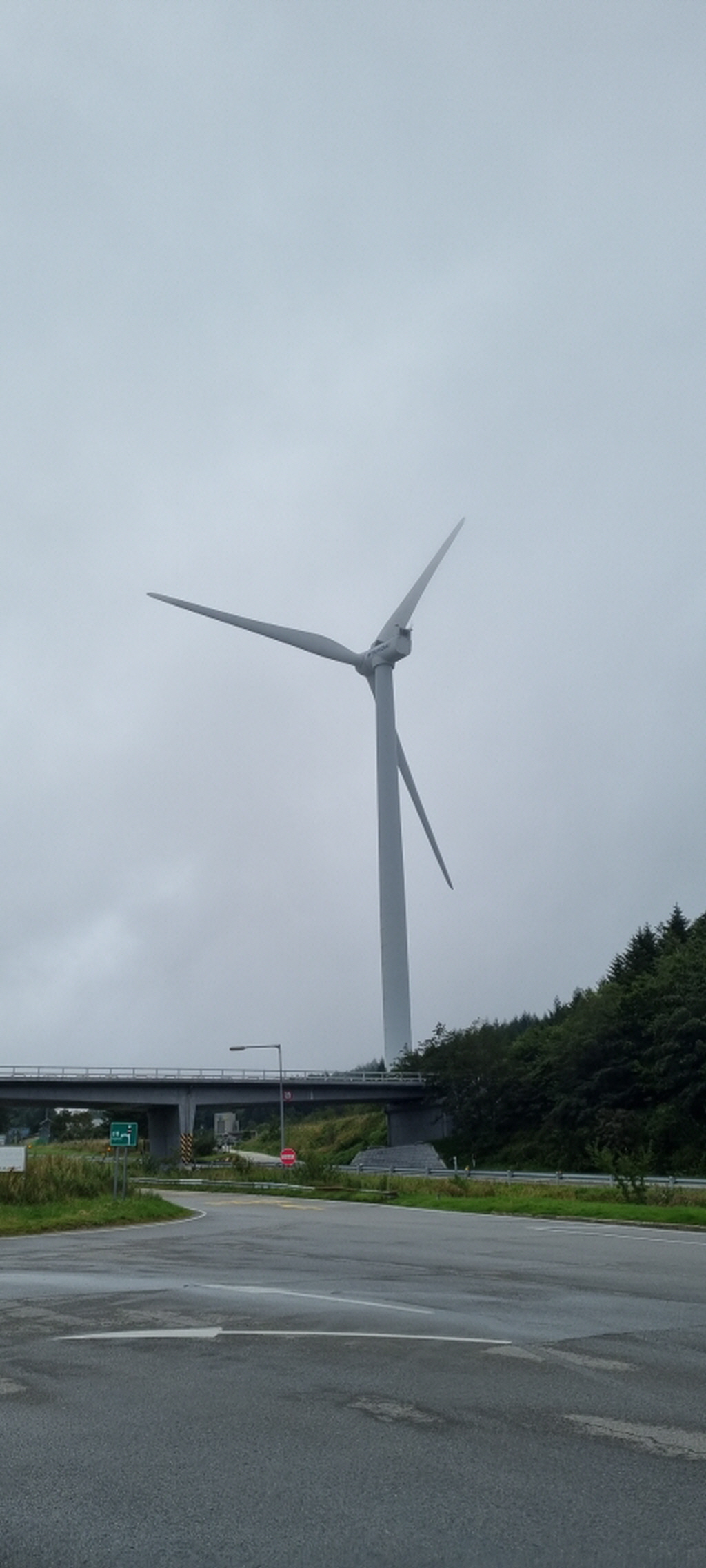 봉평메밀밭 이미지