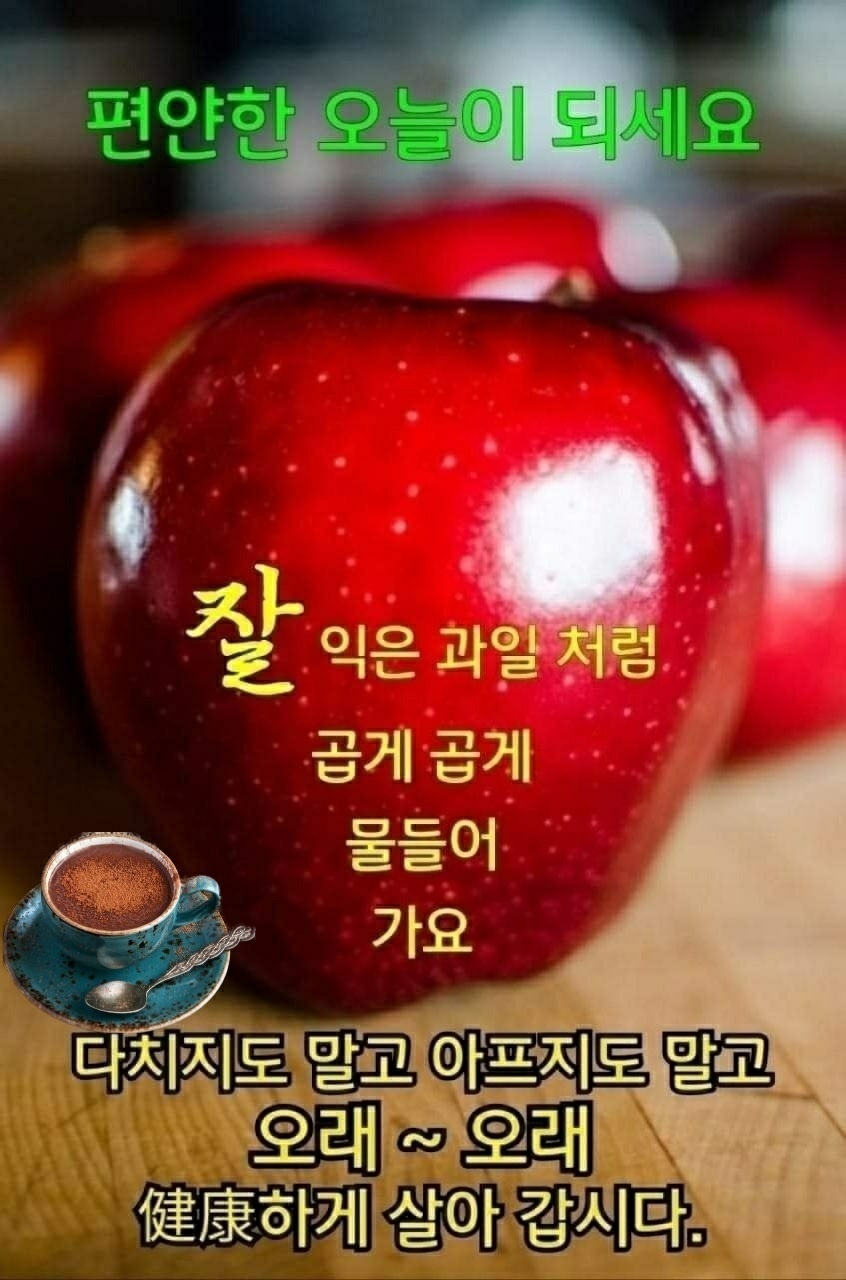 밤새 이미지