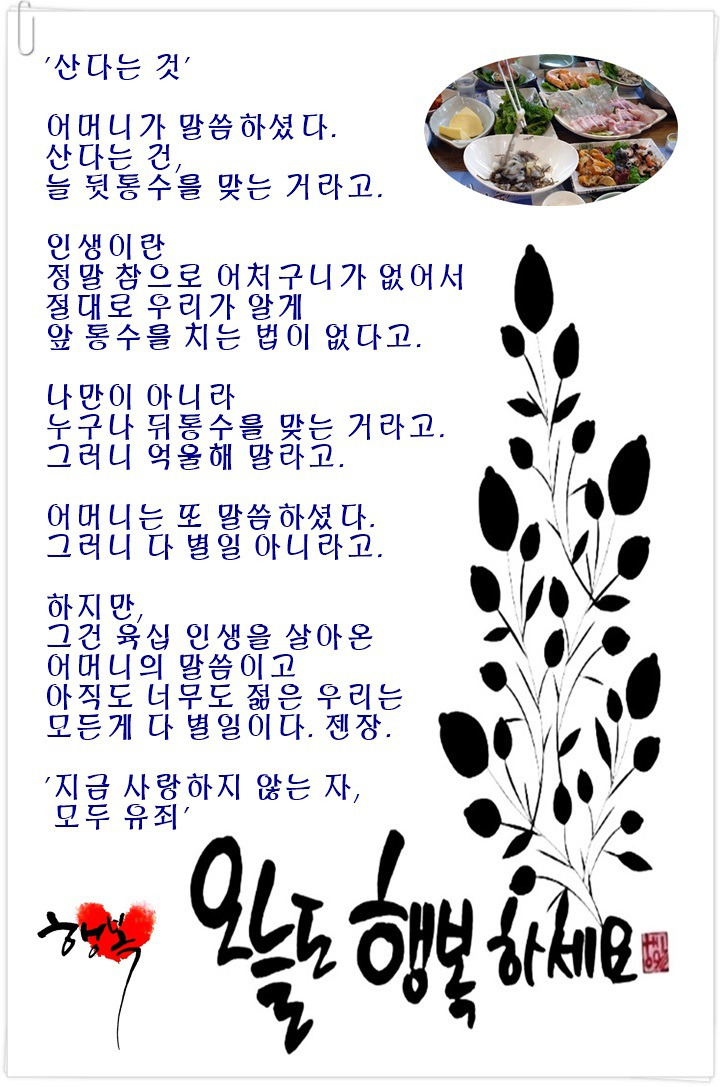 칠월 이미지