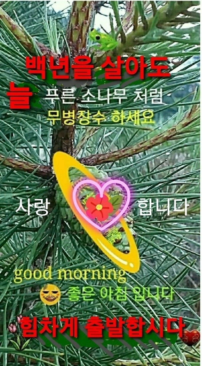 한주로 이미지