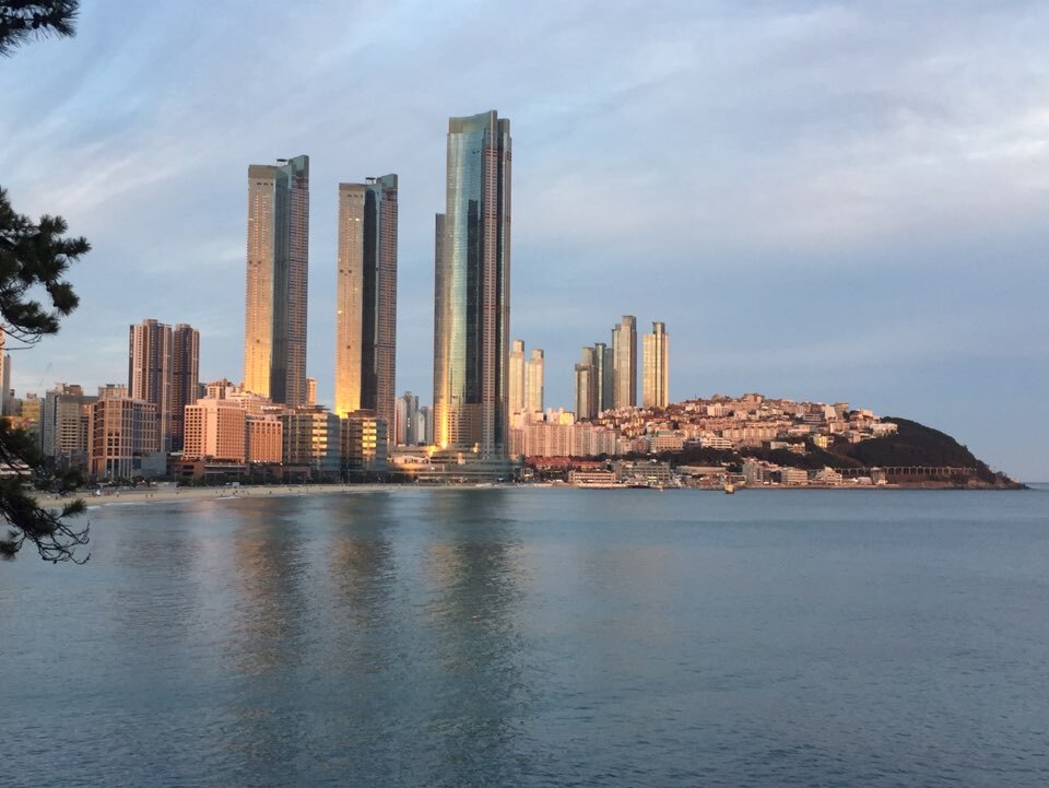 바다누리 이미지