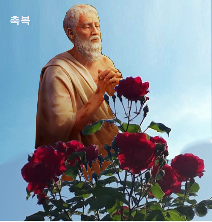 창대 이미지