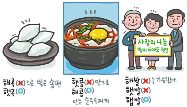 해콩이네 이미지