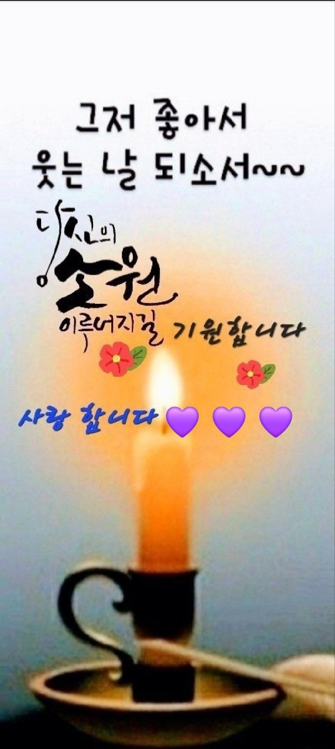 해솔 이미지