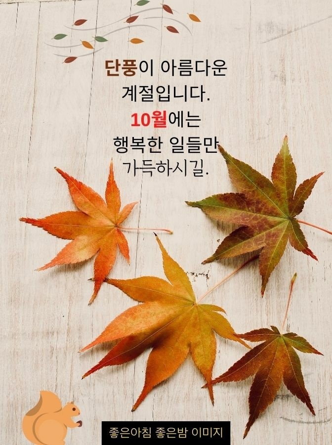 다민 이미지