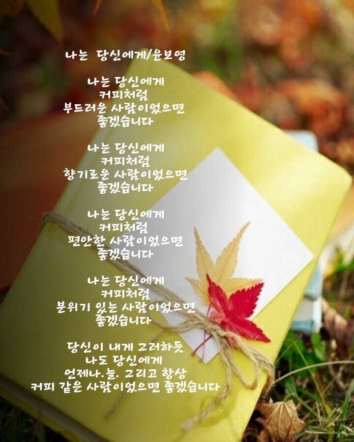 해솔 이미지
