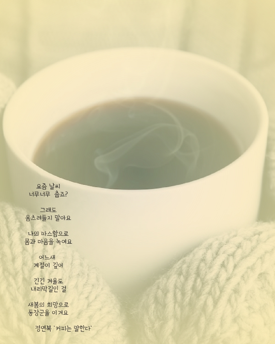 썬다방 이미지