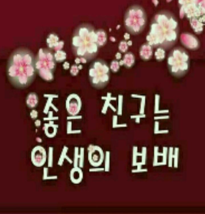 힘내시게 이미지