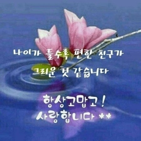 힘내시게 이미지