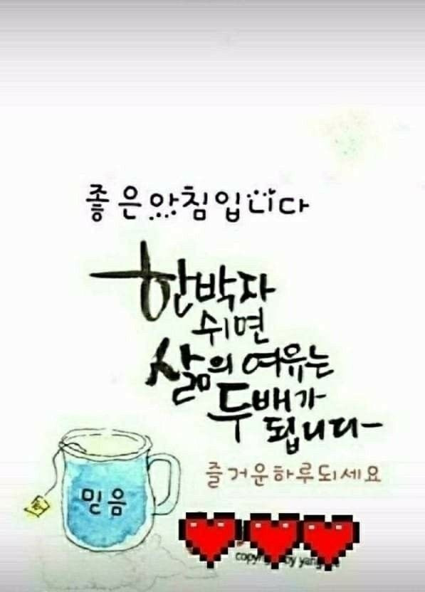 오늘;꽃 이미지