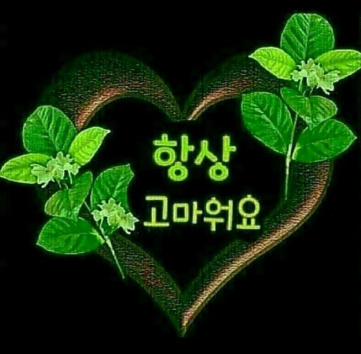 다님 이미지