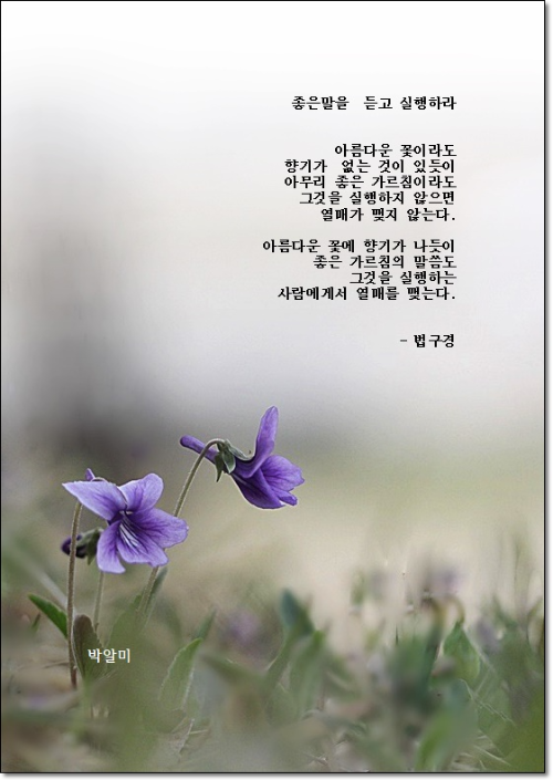 샤브작 이미지