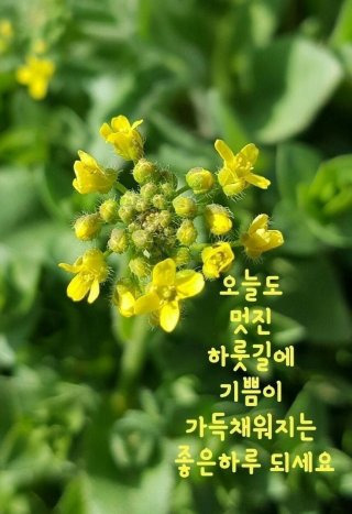 창가 이미지
