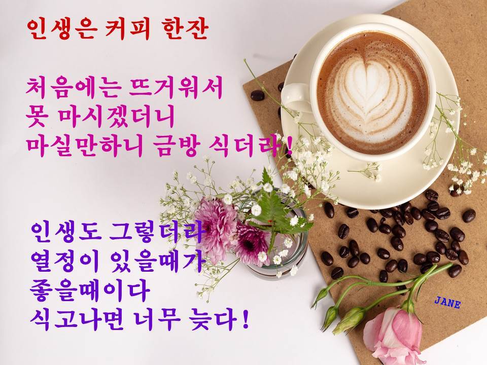 인생커피 이미지