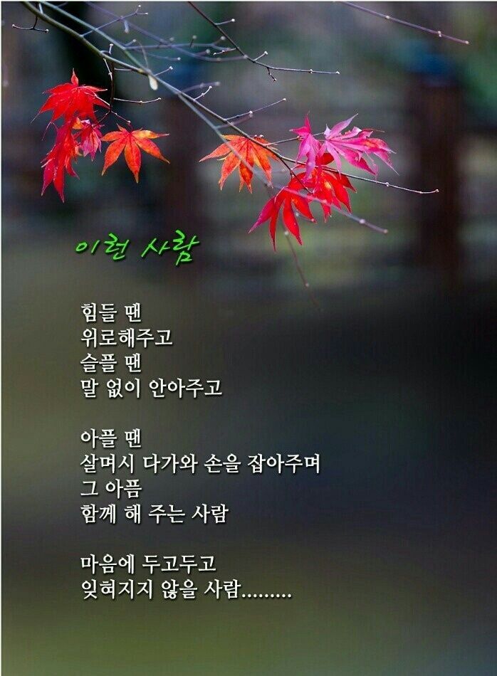 해솔은 이미지