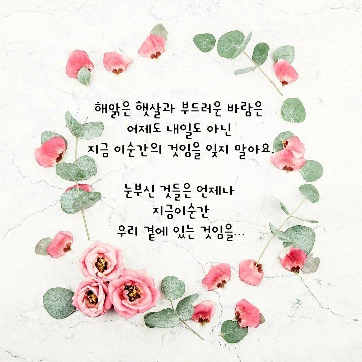 다님 이미지