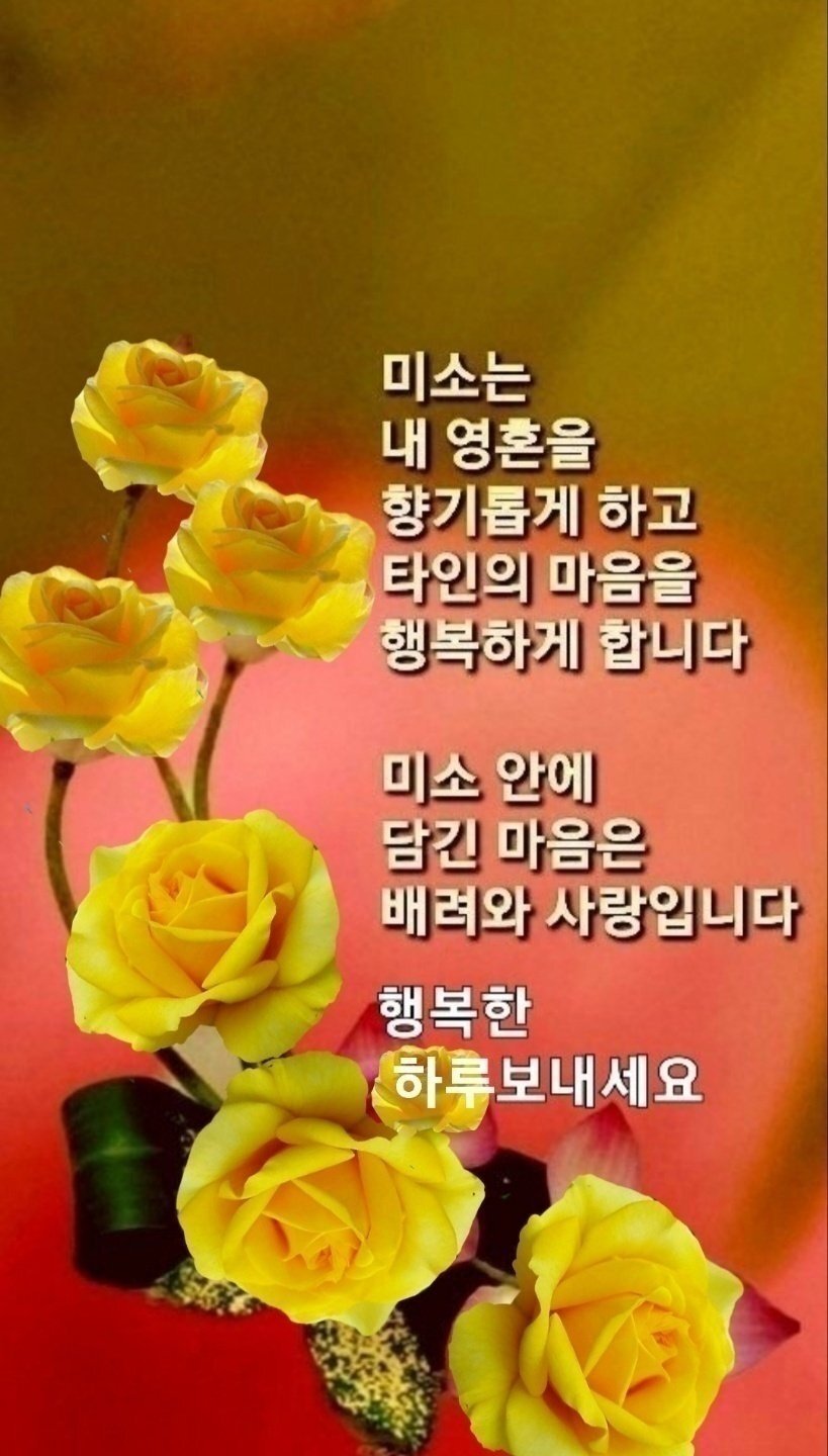 다님 이미지