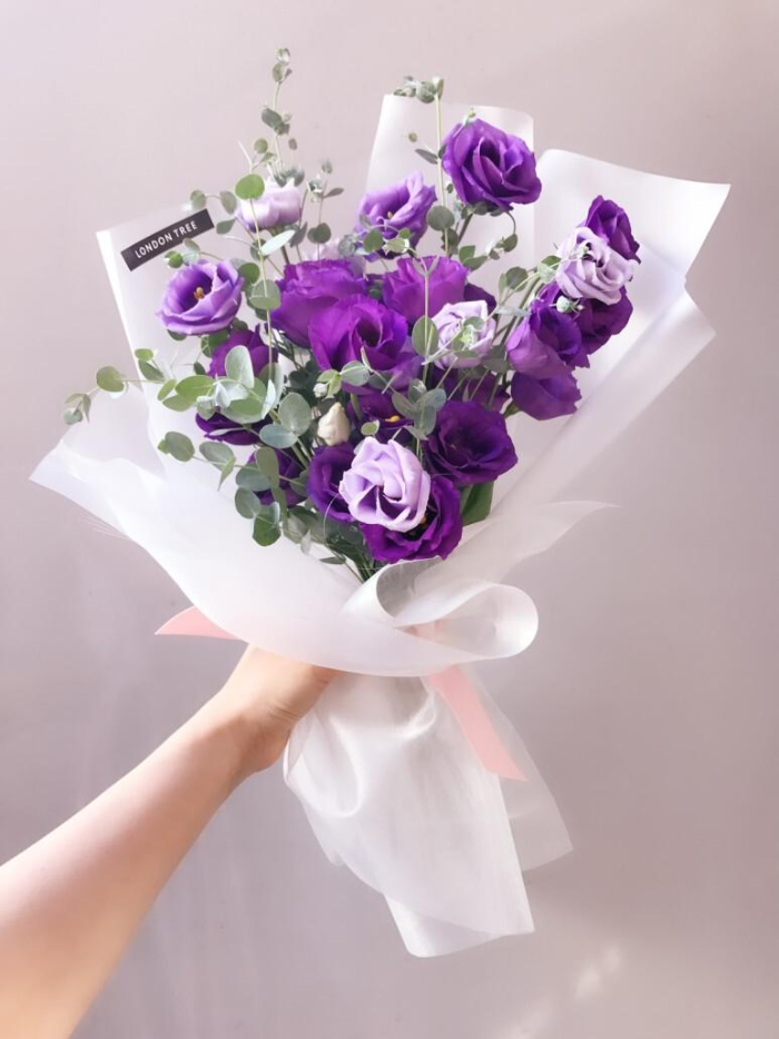 오늘;꽃 이미지