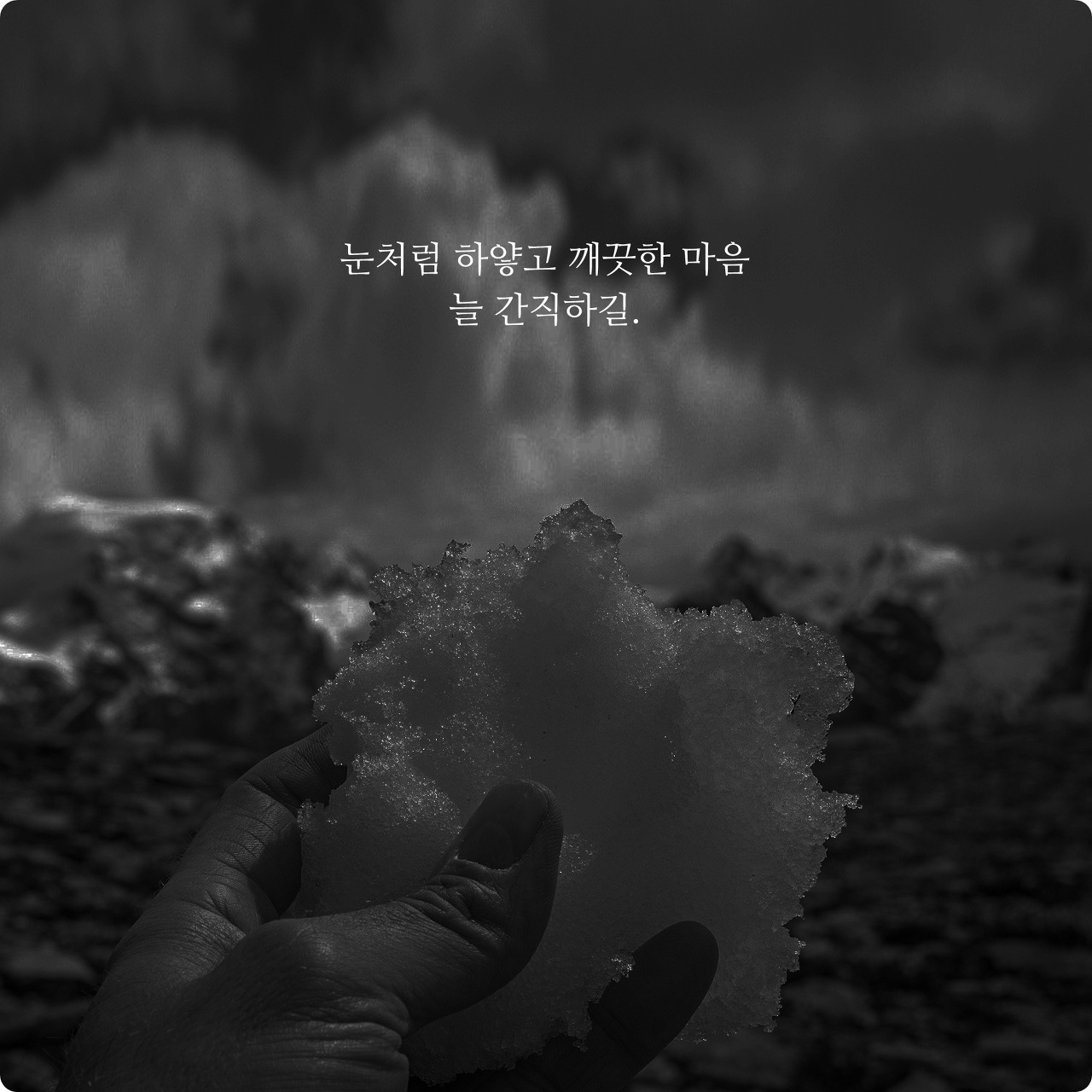 썬다방 이미지