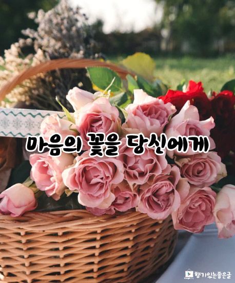 마음의꽃 이미지