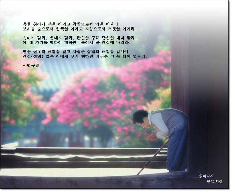샤브작 이미지