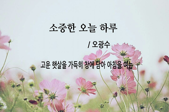소중한오늘 이미지