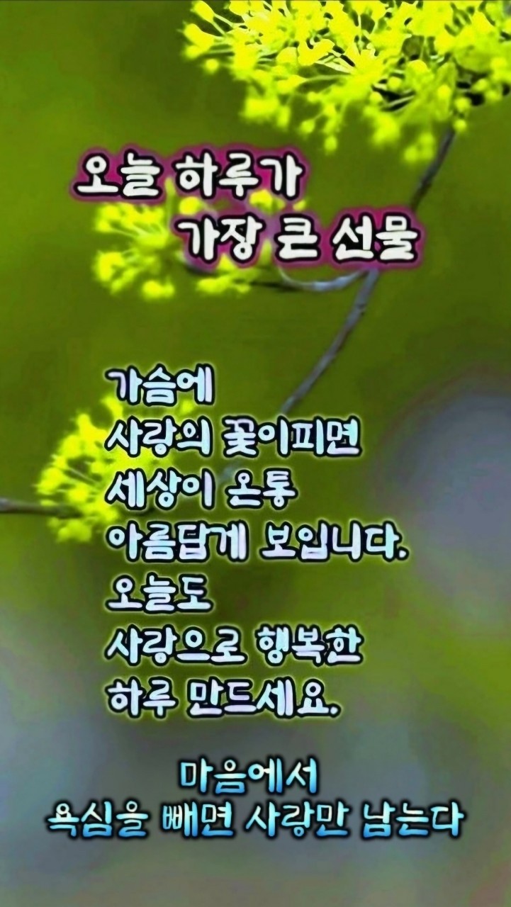 오늘하루 이미지