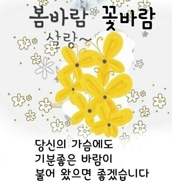 해솔 이미지