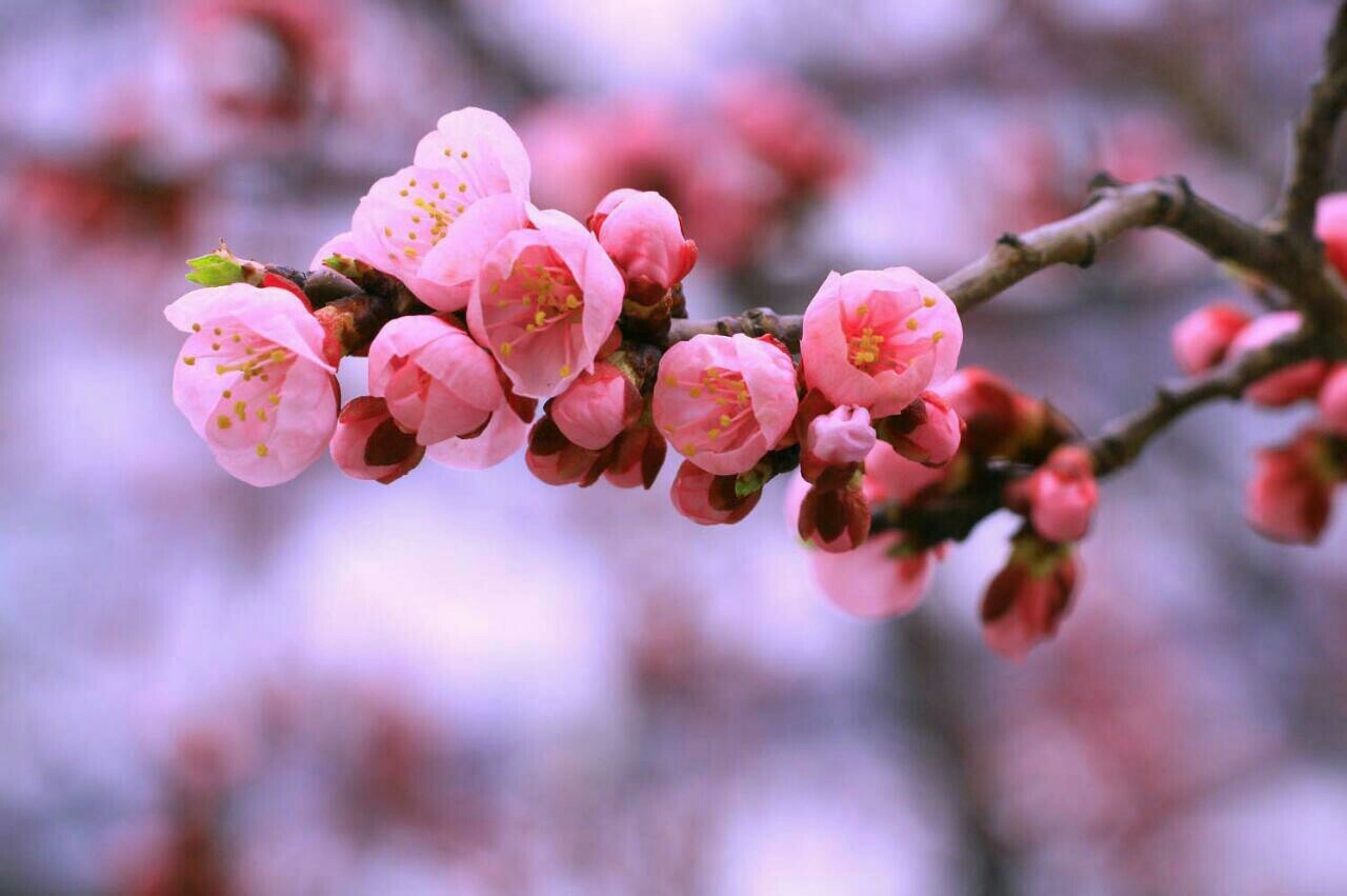풍화로 이미지