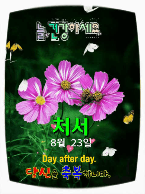 그루터 이미지