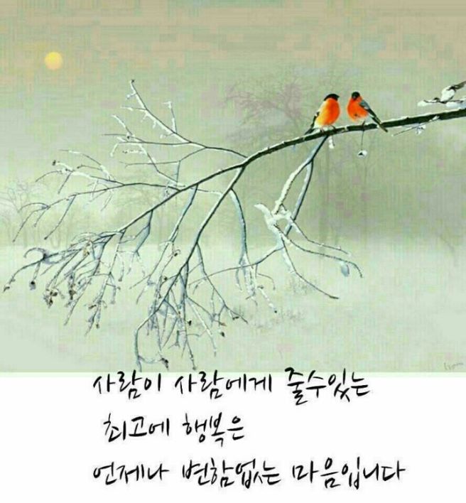 잘 이미지