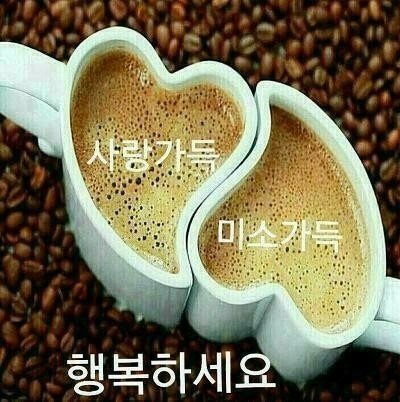 다민 이미지