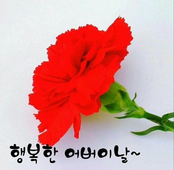 다님 이미지
