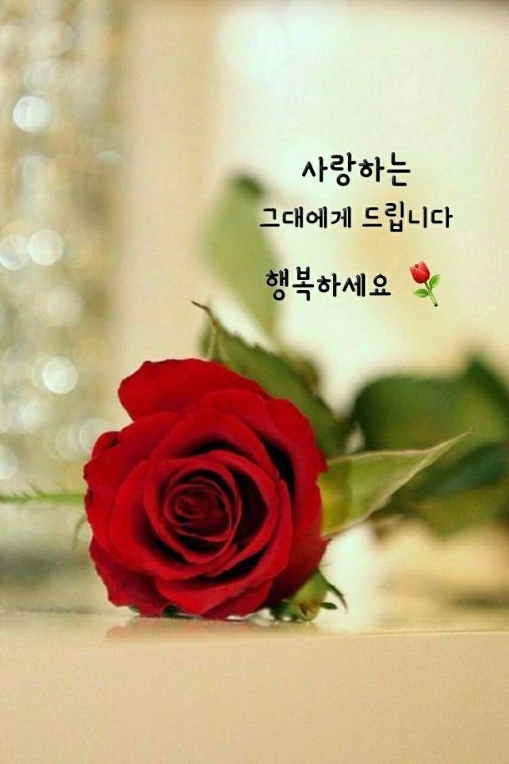 라이브사랑벌 이미지