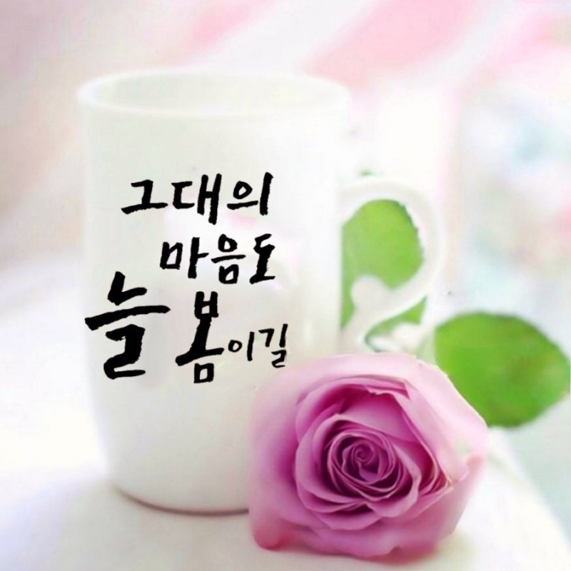 나드리 이미지