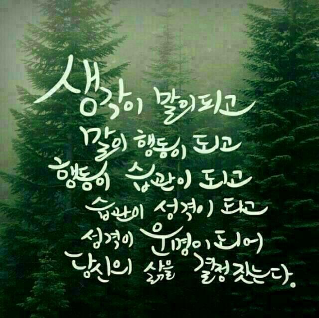 우린 이미지