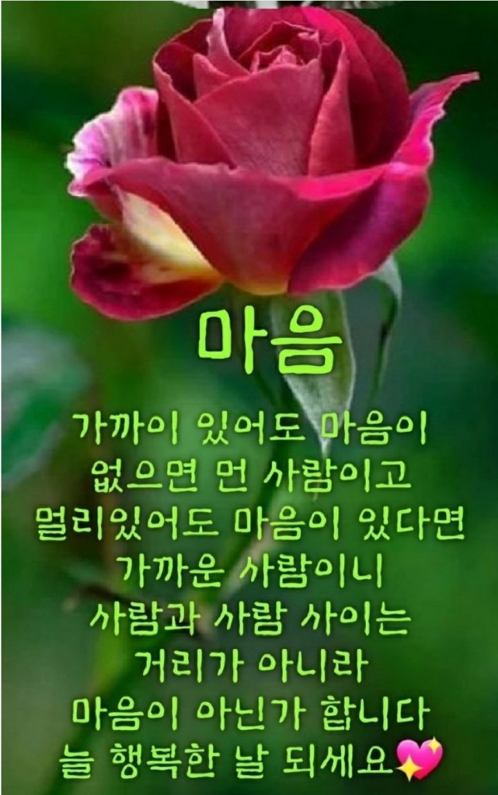 씽긋 이미지