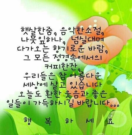 해솔은 이미지