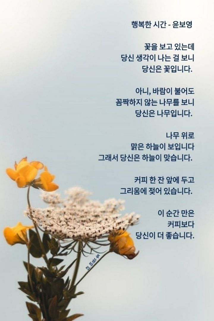 커피SAY 이미지