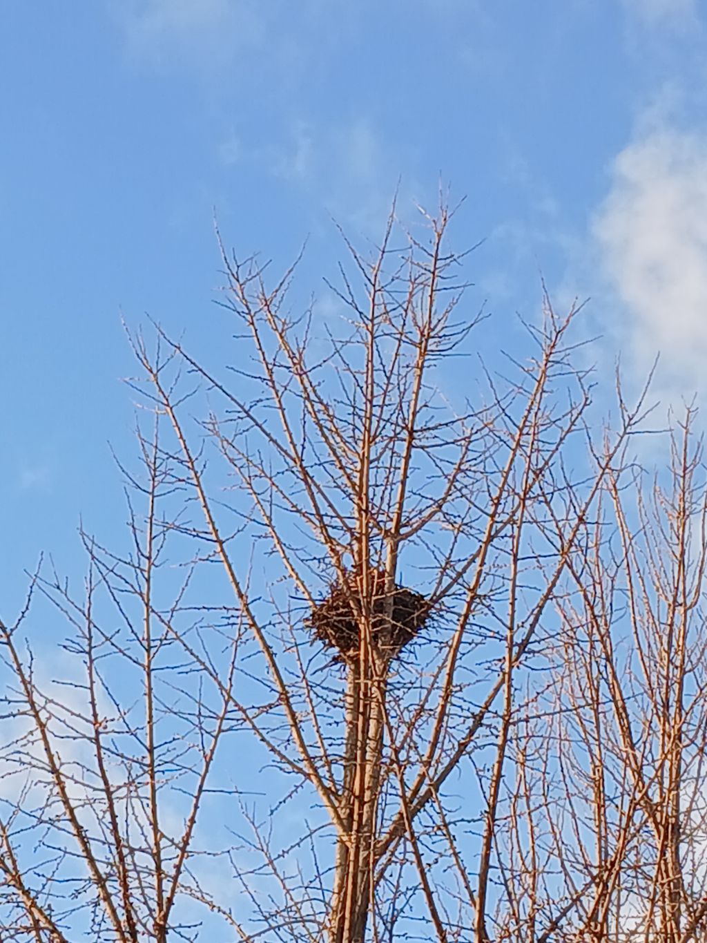 댓바람 이미지