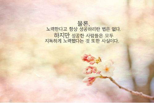 썬다방 이미지