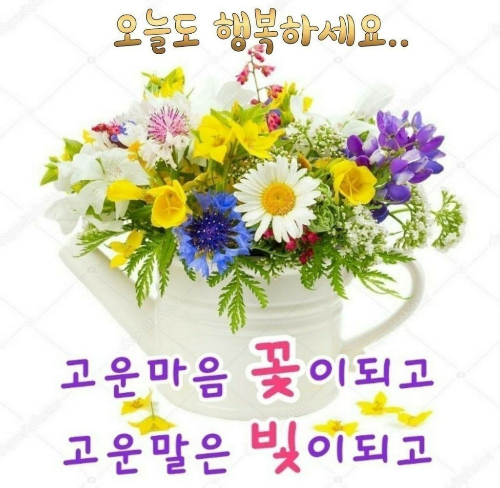 다님 이미지